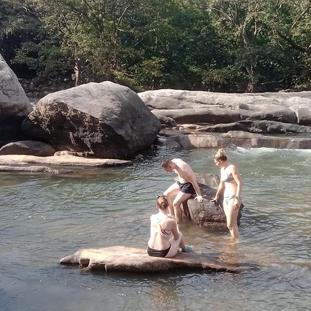 Jungle Village Homestay Pinnawala  Dış mekan fotoğraf