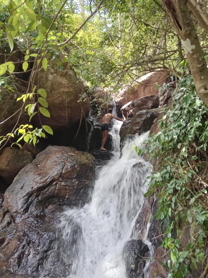 Jungle Village Homestay Pinnawala  Dış mekan fotoğraf