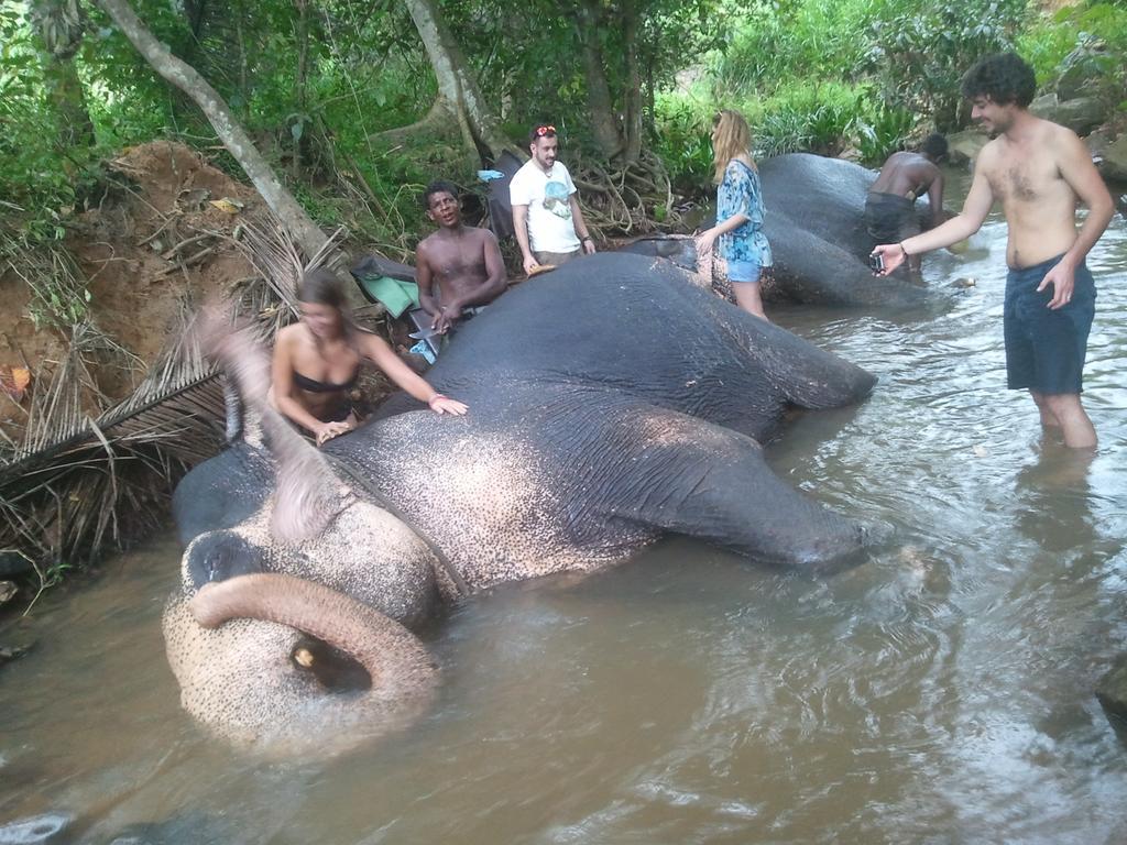 Jungle Village Homestay Pinnawala  Dış mekan fotoğraf