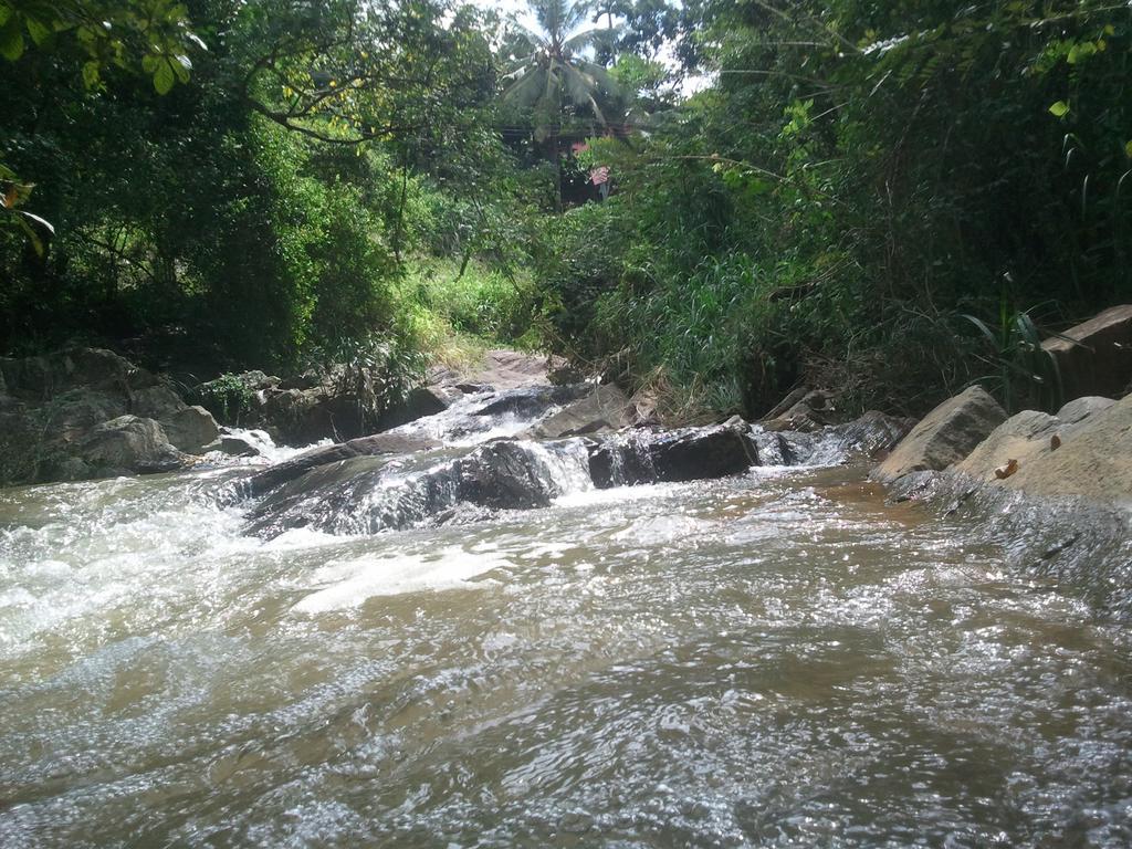 Jungle Village Homestay Pinnawala  Dış mekan fotoğraf
