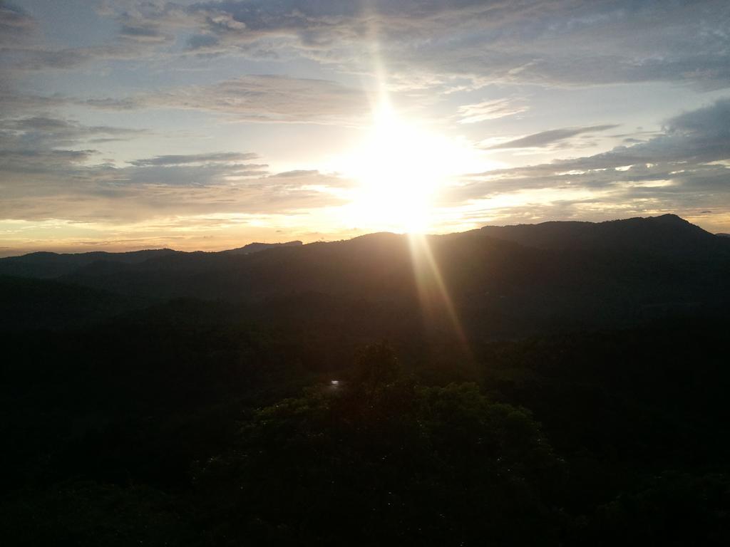 Jungle Village Homestay Pinnawala  Dış mekan fotoğraf