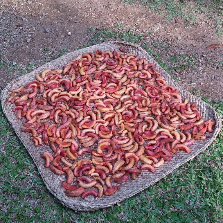 Jungle Village Homestay Pinnawala  Dış mekan fotoğraf