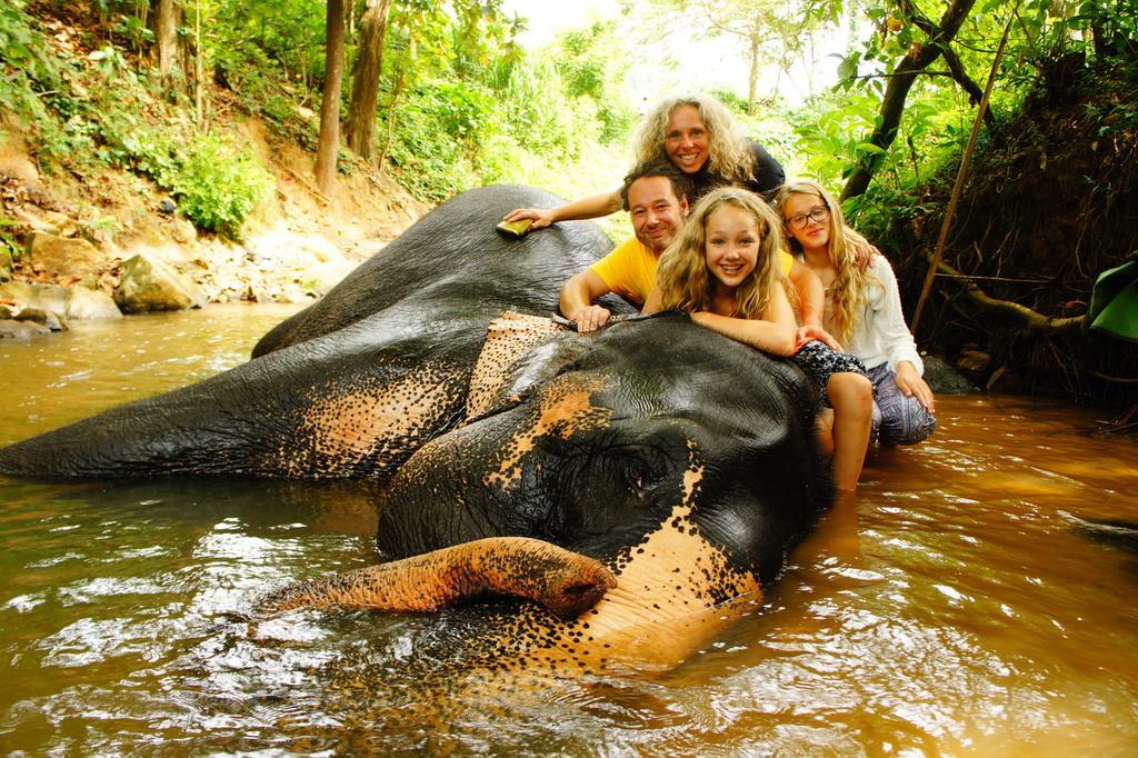 Jungle Village Homestay Pinnawala  Dış mekan fotoğraf